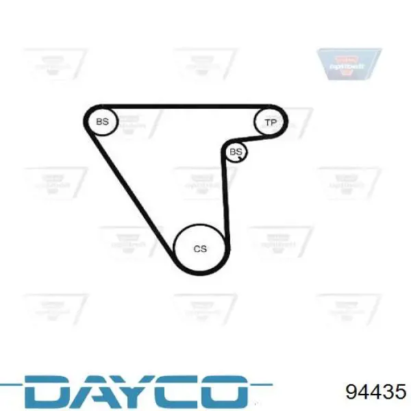 Correa del eje de equilibrado Dayco 94435 precio, desde 45,07 EUR