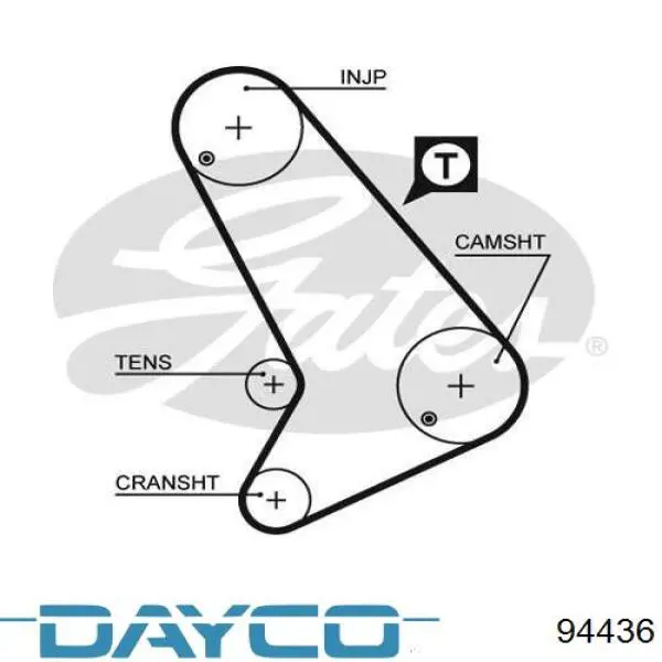 94436 Dayco correa distribucion