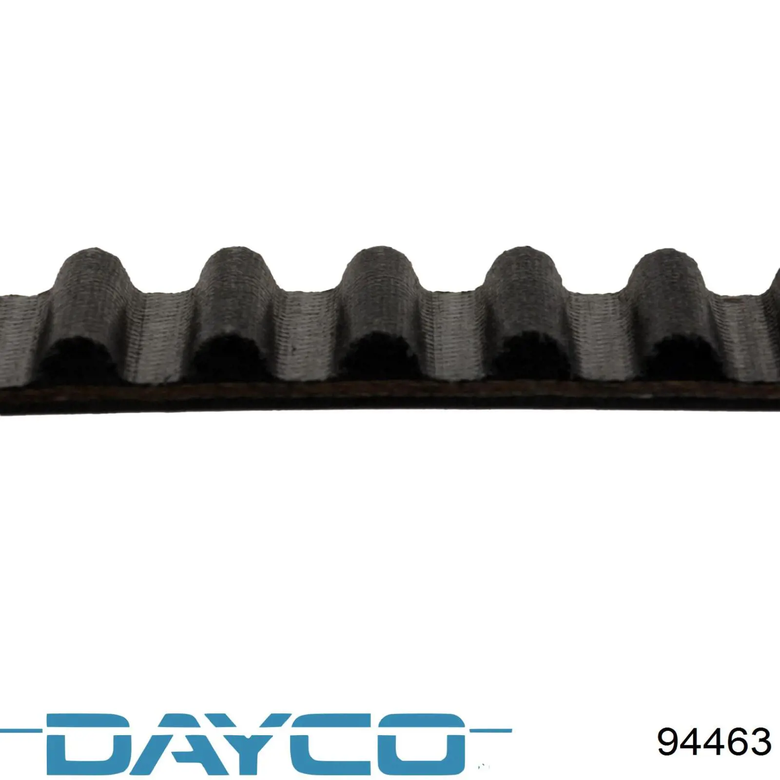 Correa distribución 94463 Dayco