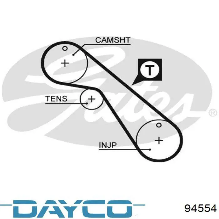 94554 Dayco correa distribucion