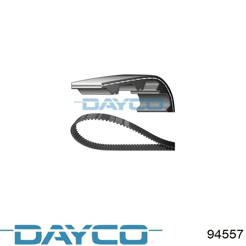 Comprar 94557 Dayco Correa distribución