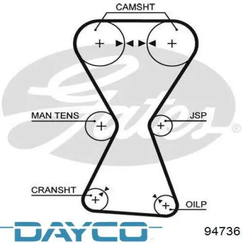 94736 Dayco correa distribucion