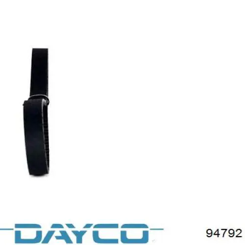 Correa distribución 94792 Dayco
