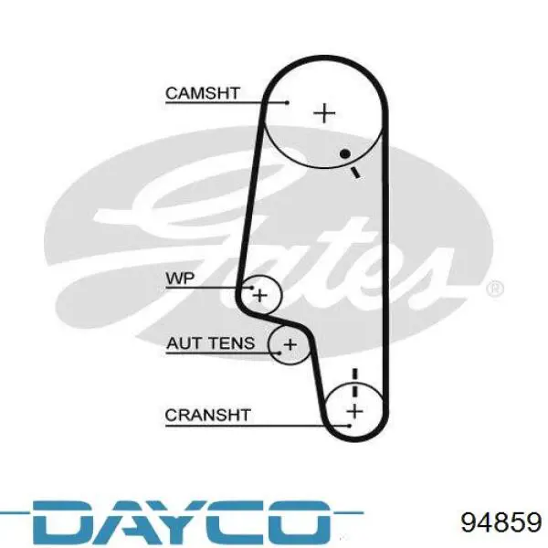 94859 Dayco correa distribucion