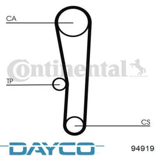 Correa distribución 94919 Dayco