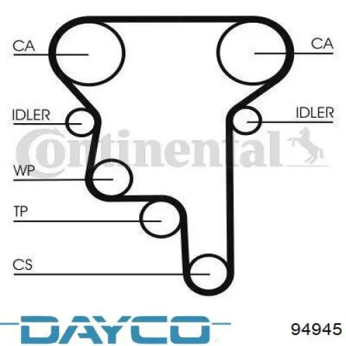 94945 Dayco correa distribución