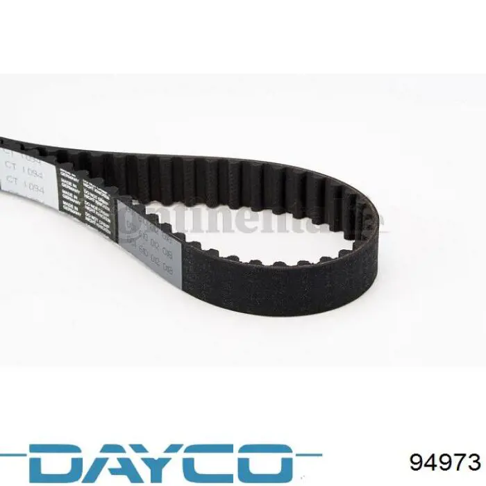 94973 Dayco correa distribucion