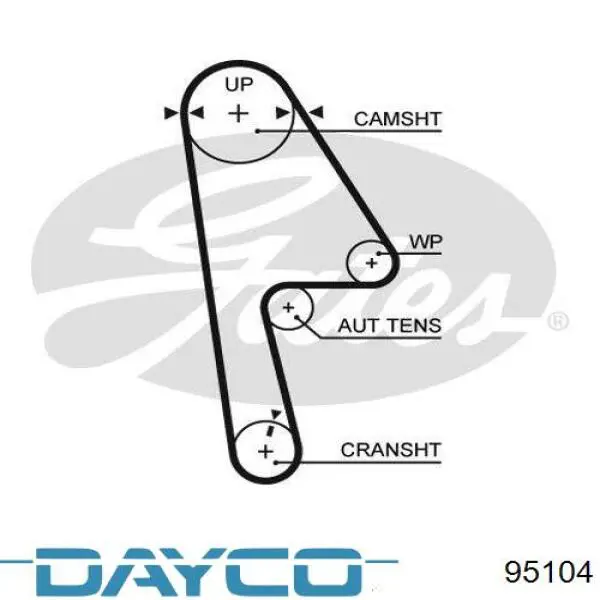 95104 Dayco correa distribucion