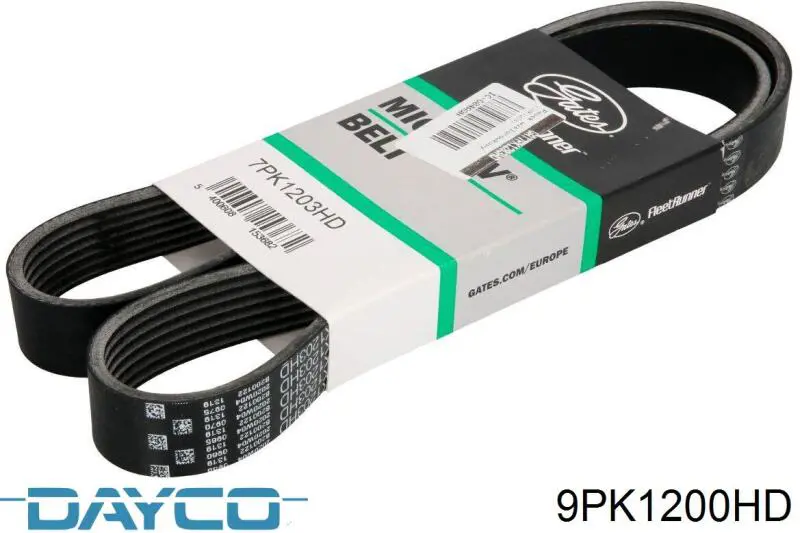 Correa de transmisión trapezoidal Dayco 9PK1200HD precio, desde 44,06 EUR