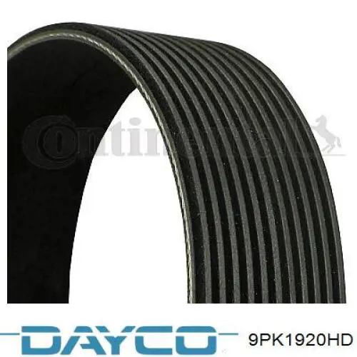 Correa de transmisión trapezoidal Dayco 9PK1920HD precio, desde 27,06 EUR