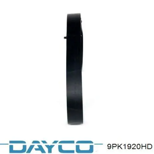 Comprar 9PK1920HD Dayco Correa trapezoidal