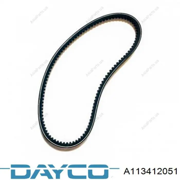 A113412051 Dayco Correa poly v