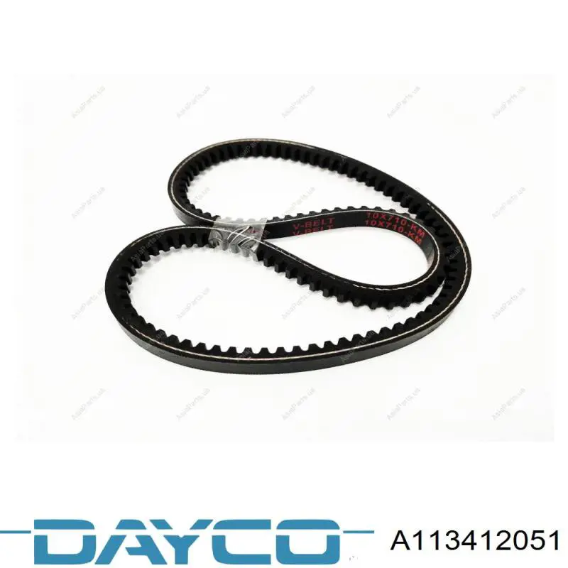 Correa de transmisión trapezoidal Dayco A113412051 precio, desde 4,13 EUR