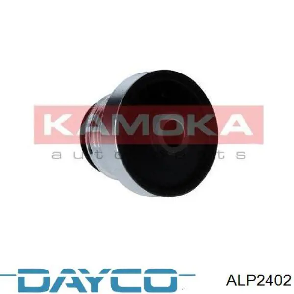 Poleas juego de piezas Renault Megane 2 LM0, LM1