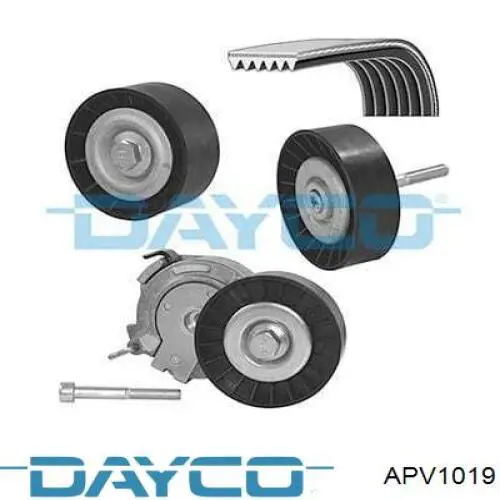 APV1019 Dayco polea inversión / guía, correa poli v