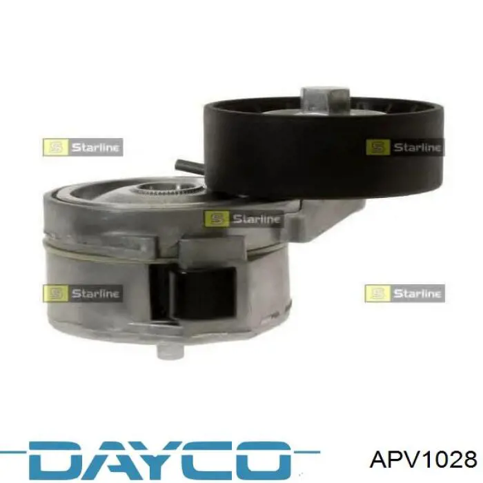 Polea tensora correa poli V APV1028 Dayco