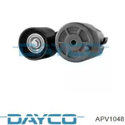 Tensor de correa poli V APV1048 Dayco
