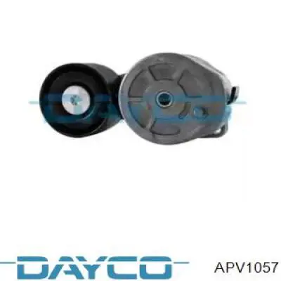 Tensor de la correa trapecial Dayco APV1057 precio, desde 41,35 EUR