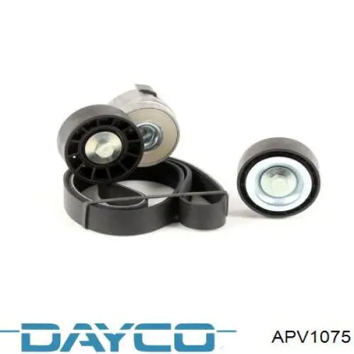 Tensor de la correa trapecial Dayco APV1075 precio, desde 34,29 EUR