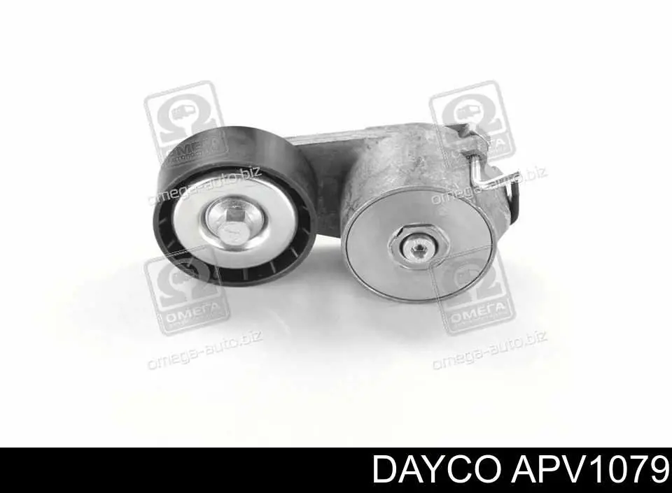 Tensor de correa poli V APV1079 Dayco