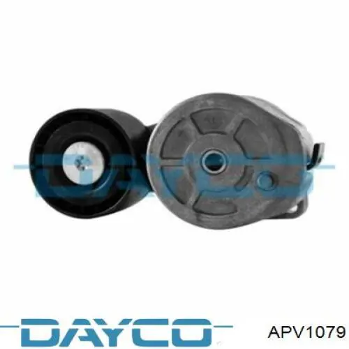 Tensor de la correa trapecial Dayco APV1079 precio, desde 27,83 EUR