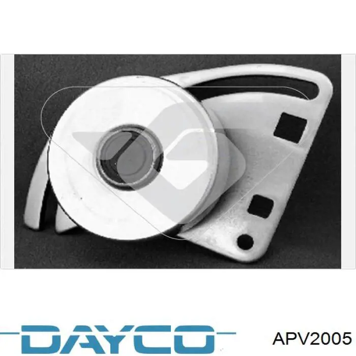 APV2005 Dayco rodillo, correa trapecial poli v