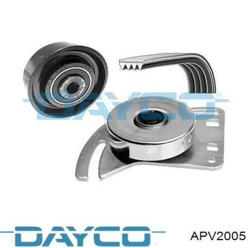 Comprar APV2005 Dayco Polea tensora, correa poli V