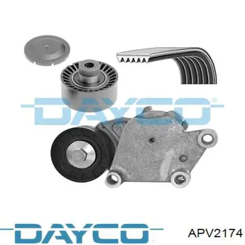 Comprar APV2174 Dayco Polea inversión/guía, correa poli V