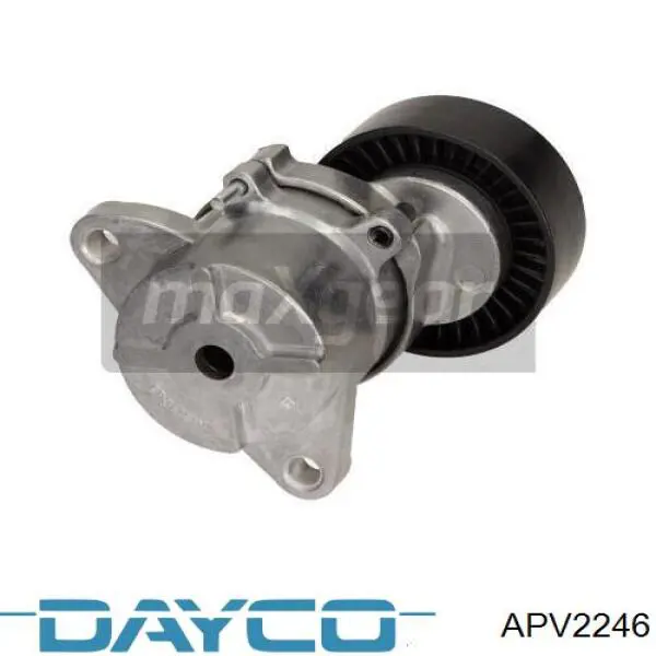 Comprar APV2246 Dayco Tensor de la correa trapecial