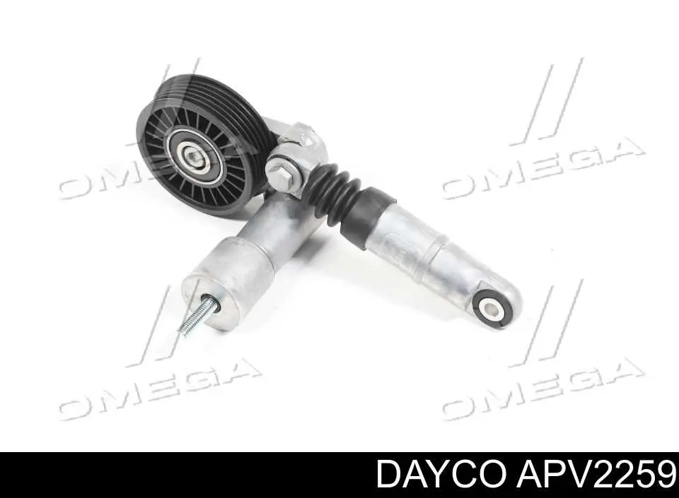 Tensor de la correa trapecial Dayco APV2259 precio, desde 63,64 EUR