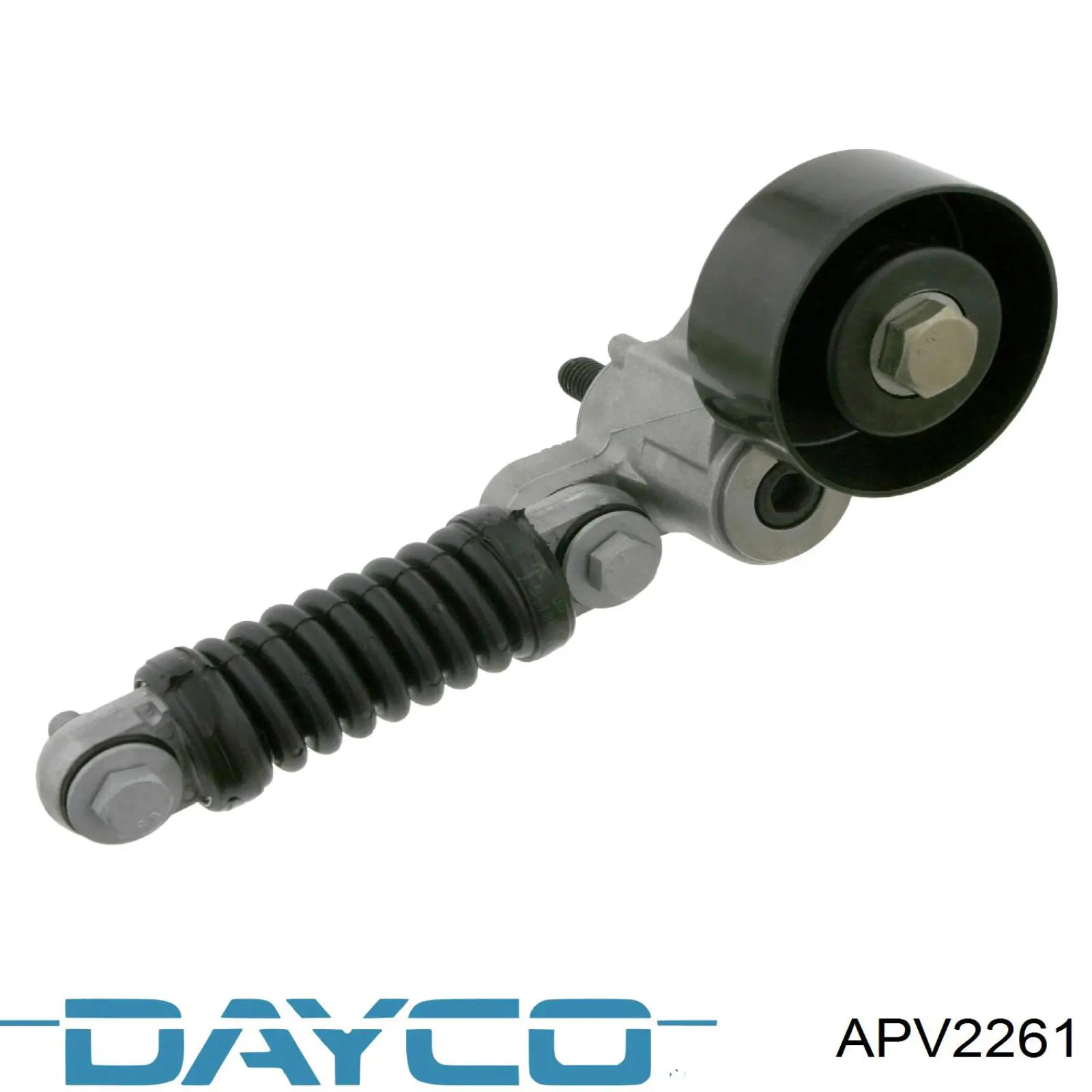 APV2261 Dayco tensor de correa, correa poli v