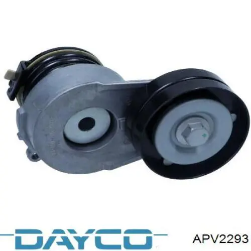 Tensor de la correa trapecial Dayco APV2293 precio, desde 62,81 EUR