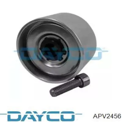 APV2456 Dayco Polea guía correa poli V