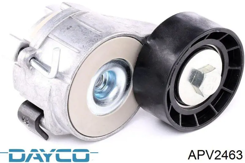 Tensor de la correa trapecial Dayco APV2463 precio, desde 27,64 EUR