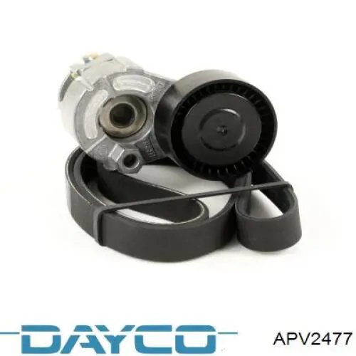 Tensor de la correa trapecial Cautex 021510 precio, desde 34,55 EUR