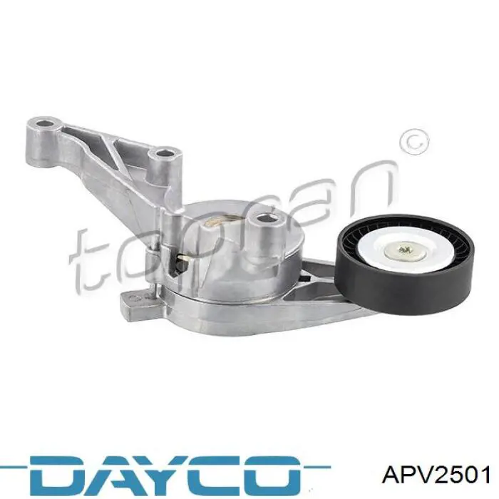 Tensor de correa poli V APV2501 Dayco
