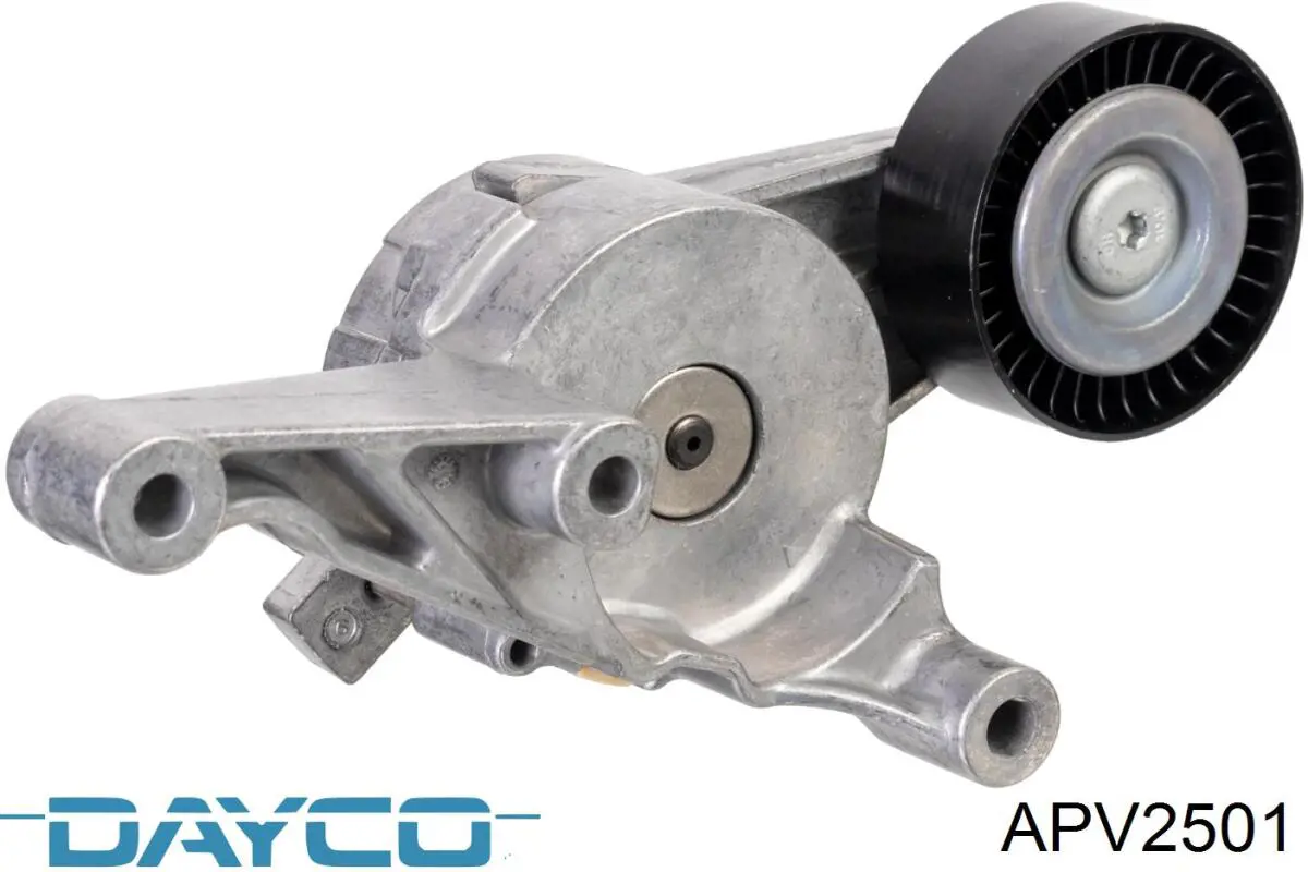 Tensor de la correa trapecial Dayco APV2501 precio, desde 25,98 EUR