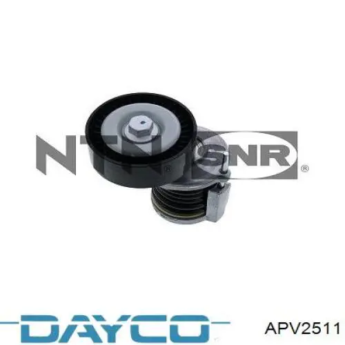 Tensor de la correa trapecial Dayco APV2511 precio, desde 24,52 EUR