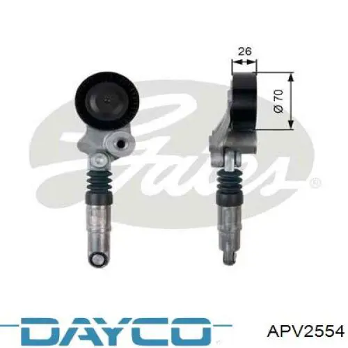 APV2554 Dayco tensor de correa, correa poli v