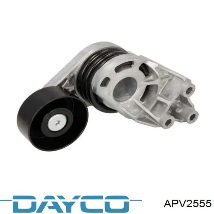 Tensor de la correa trapecial Dayco APV2555 precio, desde 39,22 EUR