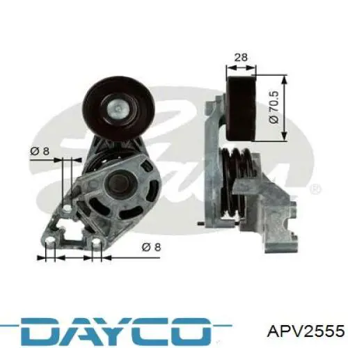 Tensor de la correa trapecial Dayco APV2555 precio, desde 39,22 EUR