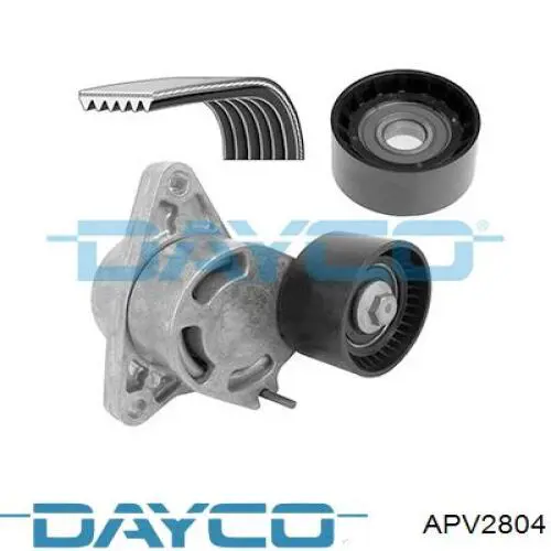 APV2804 Dayco tensor de correa, correa poli v