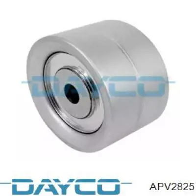 APV2825 Dayco