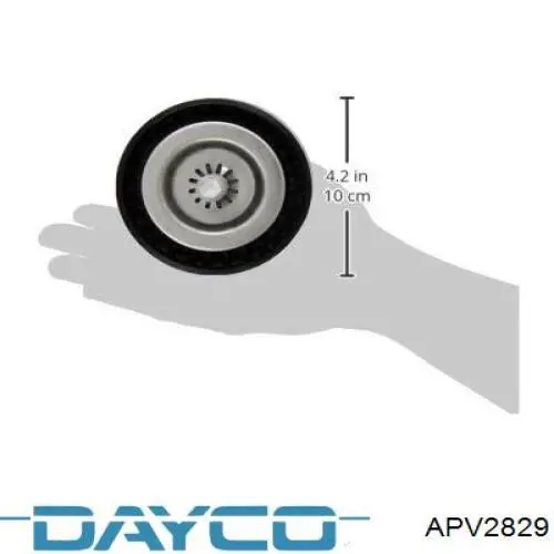 Rodillo guia Dayco APV2829