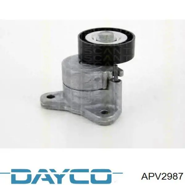 Tensor de correa poli V APV2987 Dayco