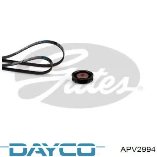 Tensor de correa poli V APV2994 Dayco