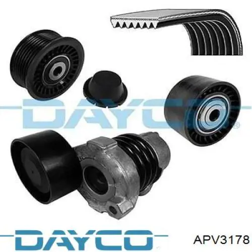 Polea inversión / guía, correa poli V APV3178 Dayco