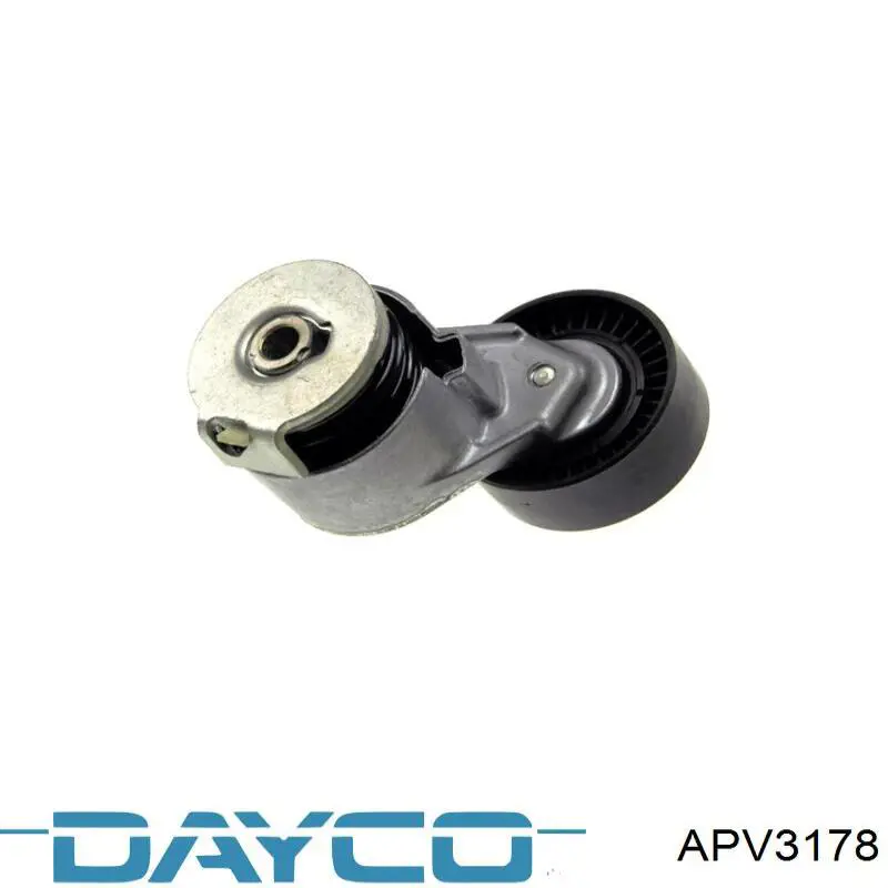 Rodillo guia Dayco APV3178