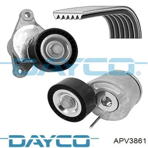 Comprar APV3861 Dayco Tensor de la correa trapecial