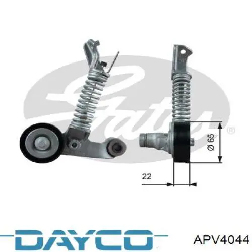 APV4044 Dayco tensor de correa, correa poli v